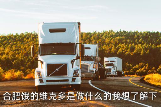 合肥饿的维克多是做什么的我想了解下