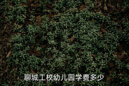 聊城幼师学校报名费多少钱，聊城市幼儿园收费