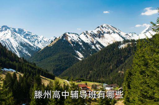 滕州高中辅导班有哪些