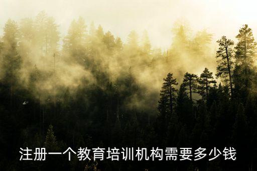 在线教育公司注册需要多少钱，注册一个教育培训机构需要多少钱