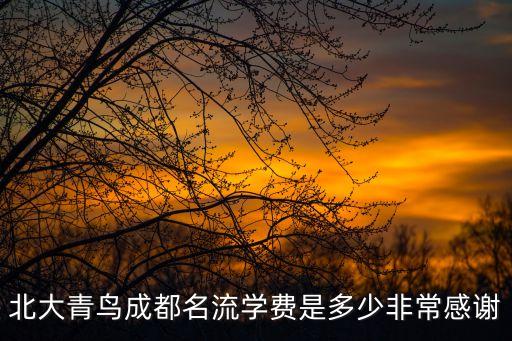 北大青鸟成都名流学费是多少非常感谢