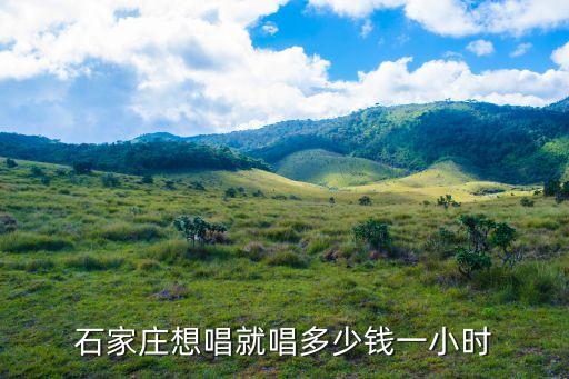 石家庄想唱就唱多少钱一小时