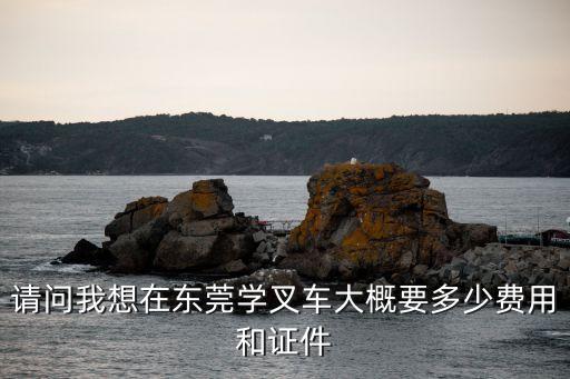 东莞叉车上岗证多少钱，在东莞考个叉车证要多少钱