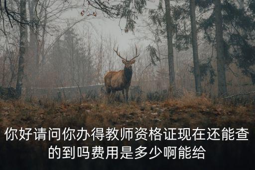 教师资格证网站是多少钱，你好请问你办得教师资格证现在还能查的到吗费用是多少啊能给
