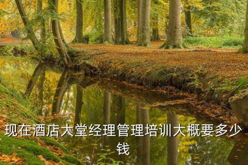 酒店培训师多少钱讲课，急求助目前的培训师大致课酬是多少