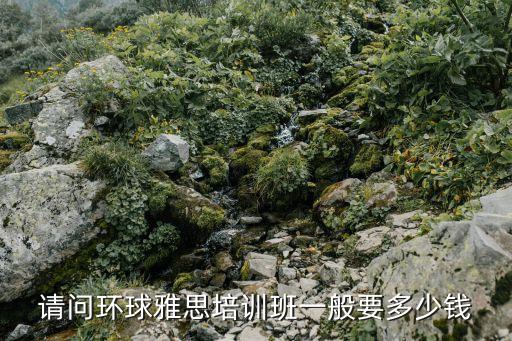 大连环球雅思多少钱，请问环球雅思培训班一般要多少钱