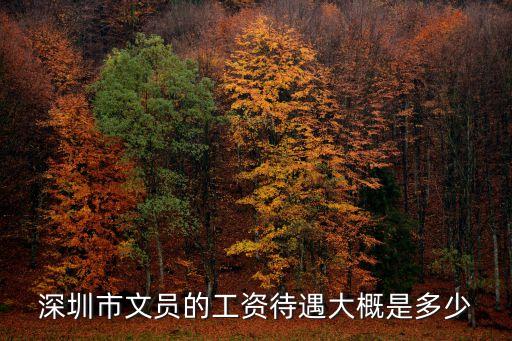 2015年龙岗文职工资是多少，在深圳龙岗文员的薪酬大概在什么范围