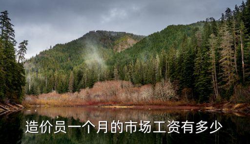 造价员一个月的市场工资有多少