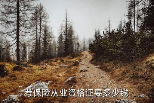 考保险从业资格证要多少钱