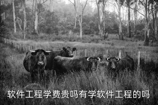 软件工程学费贵吗有学软件工程的吗