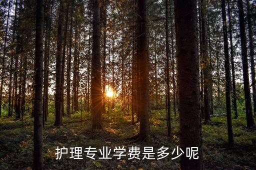 护理专业学费是多少呢