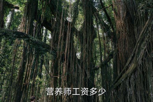 营养师工资多少