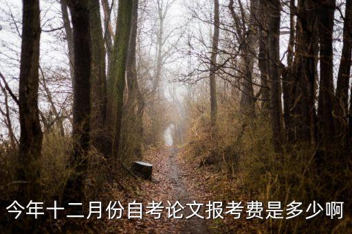 今年十二月份自考论文报考费是多少啊