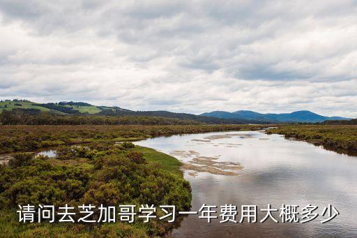 请问去芝加哥学习一年费用大概多少