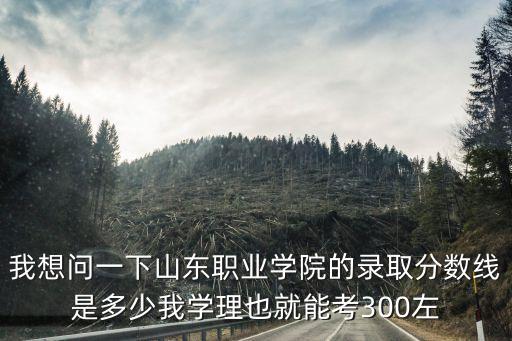 我想问一下山东职业学院的录取分数线是多少我学理也就能考300左