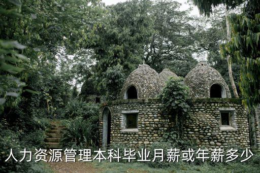 人力资源管理本科毕业月薪或年薪多少