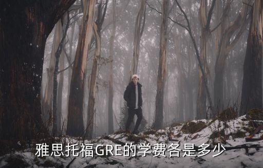 雅思g类考试费多少，雅思托福GRE的学费各是多少