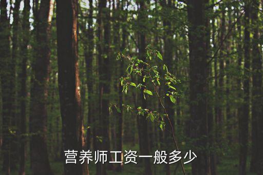 营养师工资一般多少