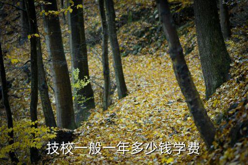 技校一般一年多少钱学费