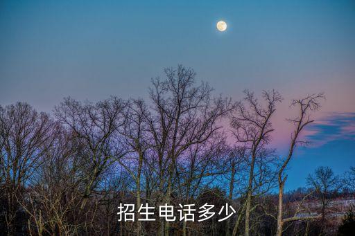 招生电话多少