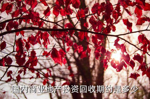 国内商业地产投资回收期约是多少