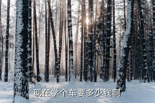 现在学个车要多少钱啊