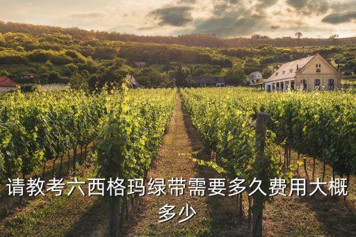 请教考六西格玛绿带需要多久费用大概多少