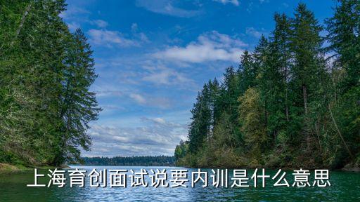 上海育创面试说要内训是什么意思