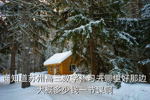 谁知道苏州高三数学补习去哪里好那边大概多少钱一节课啊