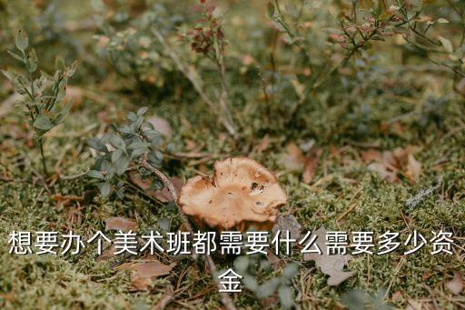 想要办个美术班都需要什么需要多少资金