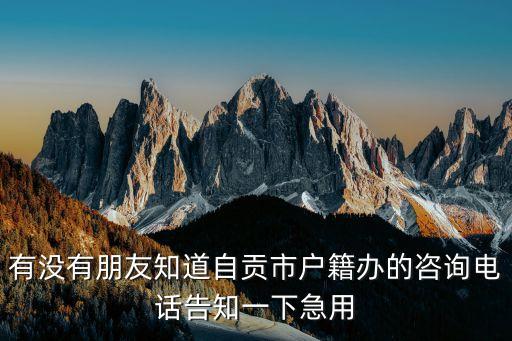 观城户籍咨询电话多少，有没有朋友知道自贡市户籍办的咨询电话告知一下急用