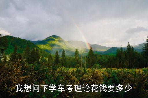 我想问下学车考理论花钱要多少