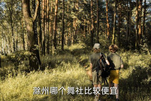 滁州哪个舞社比较便宜
