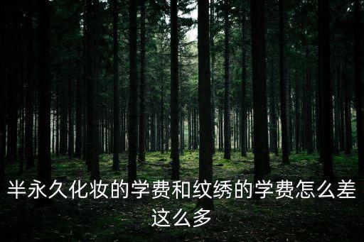 半永久化妆的学费和纹绣的学费怎么差这么多