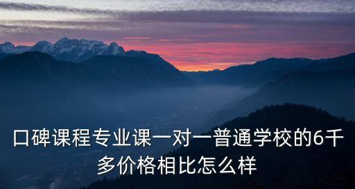 口碑课程专业课一对一普通学校的6千多价格相比怎么样