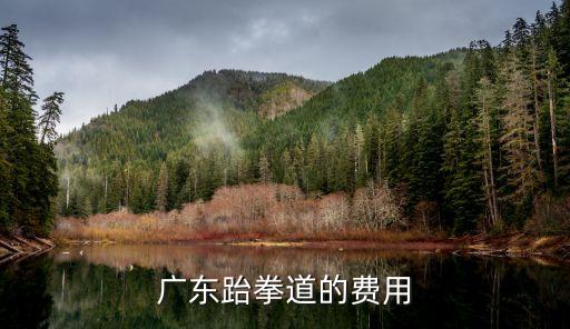 广东跆拳道的费用