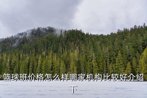 篮球班价格怎么样哪家机构比较好介绍下