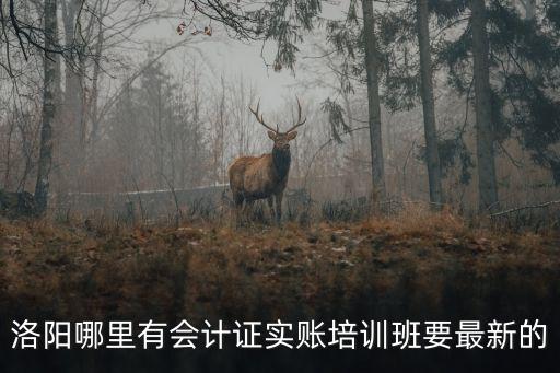 洛阳哪里有会计证实账培训班要最新的