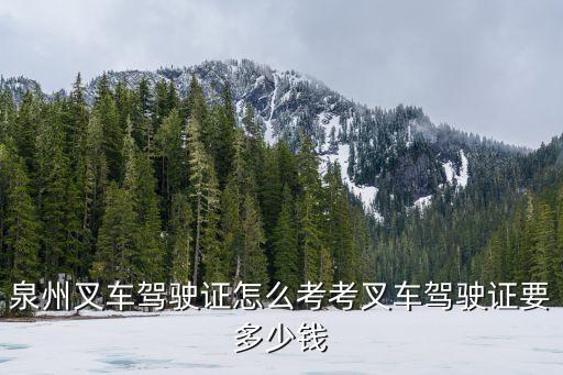 泉州叉车驾驶证怎么考考叉车驾驶证要多少钱