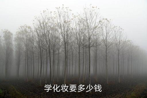 学化妆要多少钱