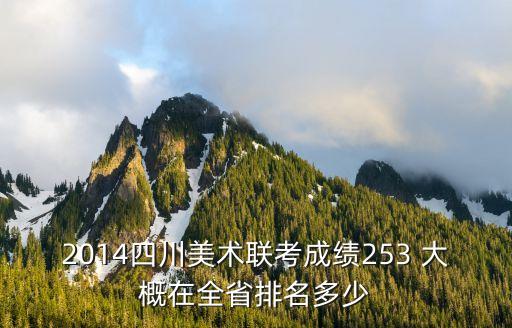 2014四川美术联考成绩253 大概在全省排名多少