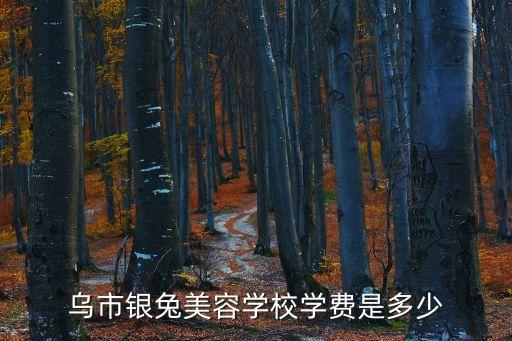 乌鲁木齐银兔美发学校学费是多少，新疆银兔美容美发学院 学费一学期多少钱