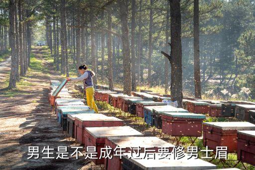男生是不是成年过后要修男士眉