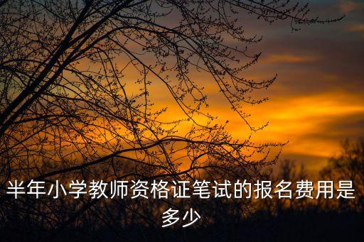 半年小学教师资格证笔试的报名费用是多少