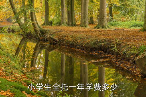 小学生全托一年学费多少