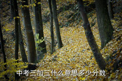 中考三加三什么意思多少分数