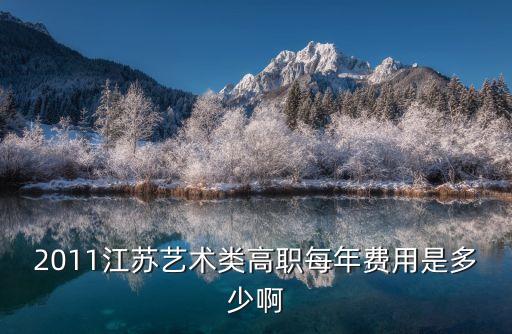 江苏艺术大专学费是多少，江苏艺术类考生美术专业大学学费