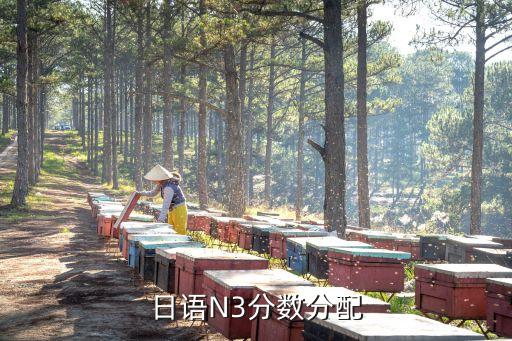 日语N3分数分配