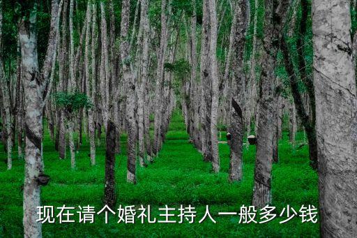 现在请个婚礼主持人一般多少钱