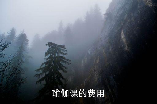 瑜伽课的费用